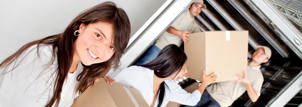 Professional Removalists Scullin